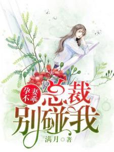 惹火孕妻,总裁别碰我