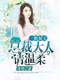 一胎双宝:总裁大人夜夜欢