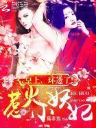 惹火小妖妃:皇上,坏透了!