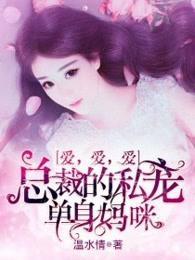 总裁的私宠:单身妈咪爱爱爱