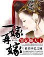 一嫁再嫁,罪妃倾天下