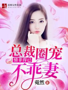 情非得已：总裁圈宠不乖妻