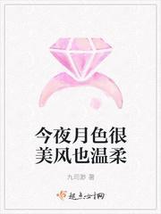 今夜月色很美风也温柔