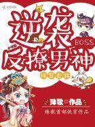 诸葛大力的开挂男友