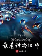 爱情公寓里最有种的律师