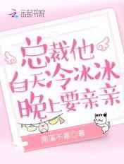 总裁他白天冷冰冰,晚上要亲亲