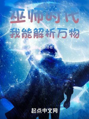 巫师时代:我能解析万物