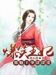 爆笑王妃:邪魅王爷涩涩爱