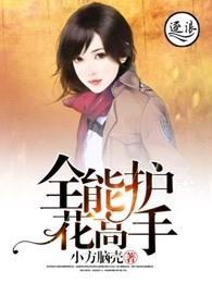 全能护花高手