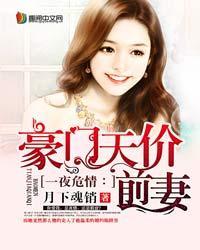 一夜危情:豪门天价前妻