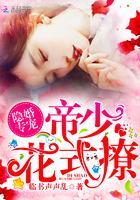 隐婚专宠:帝少,花式撩!
