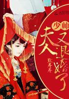 报告，夫人又退婚了