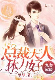 宠妻成瘾:总裁大人,体力好!