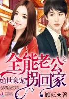 绝世豪宠:全能老公拐回家