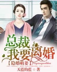 隐婚萌妻：总裁，我要离婚