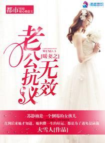 暖妻之老公抗议无效