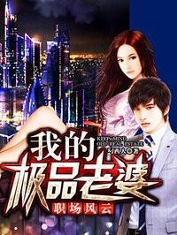 职场风云:我的极品老婆
